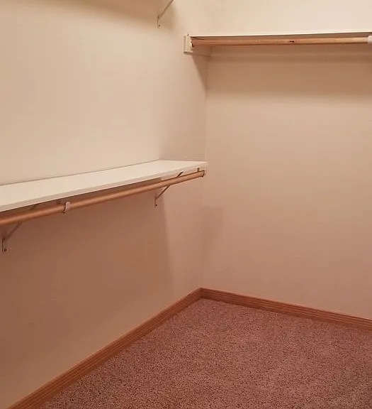 1847 Redwood Dr — Photo 19