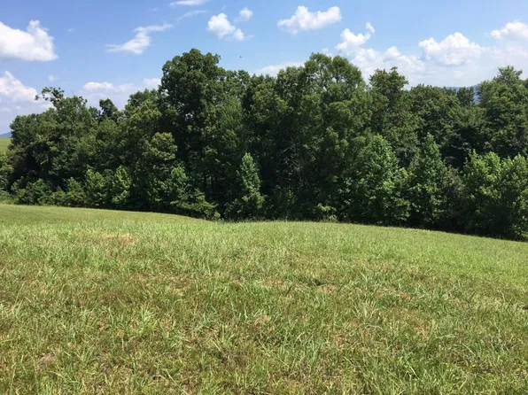 Tanzanite Trl, New Tazewell, TN 37825