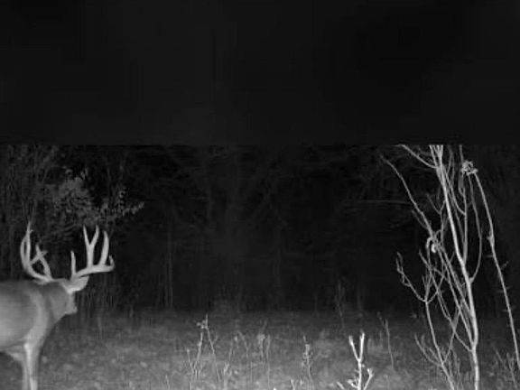 4th image of Road 706