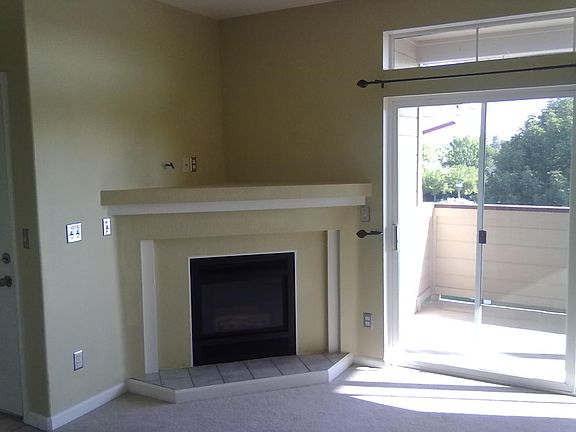 Gas fireplace