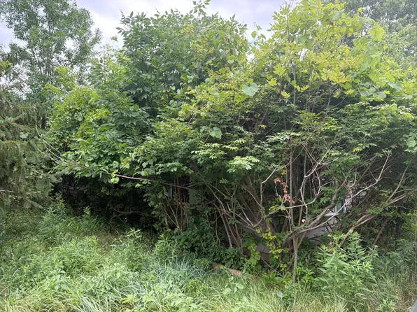 5245 Washburn Rd, Goodrich, MI 48438