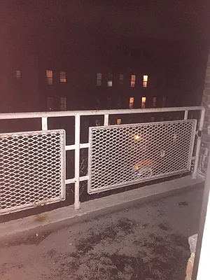 Rented by Brooklyn Vertical Inc. | media 22