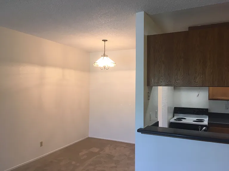 39865 Cedar Blvd #330 — Photo 5