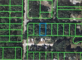1605 Birch St, Lake Placid, FL 33852