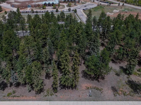 610 Chipmunk Dr, Woodland Park, CO 80863