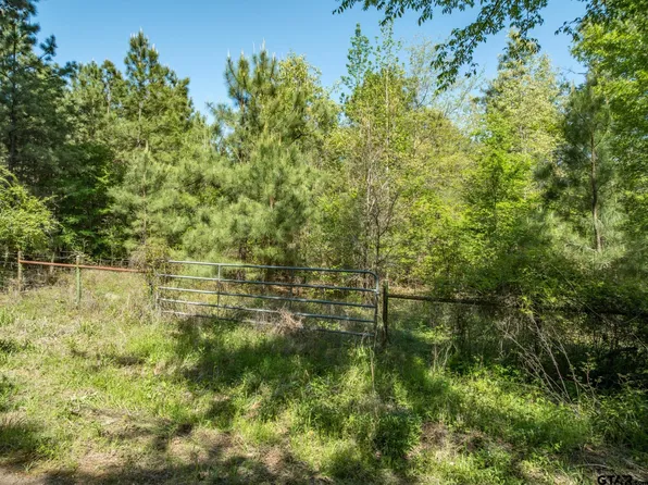 0 County Road 3414, Brownsboro, TX 75756