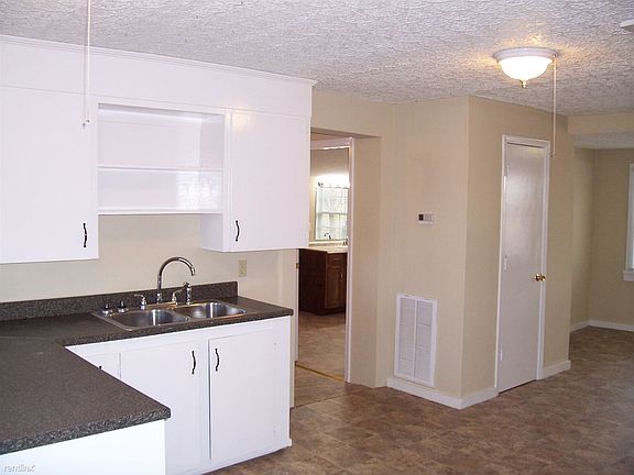Kitchen Sink Area