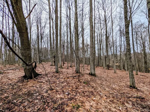 24 Worden Rd Lot 3, Oswego, NY 13126
