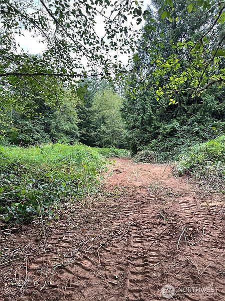 2nd image of 0 xxxx 238th Avenue NE