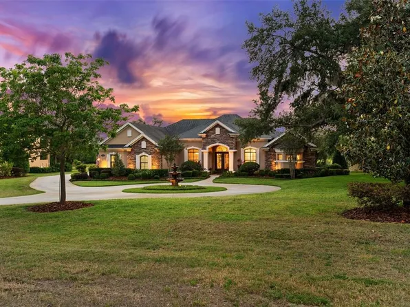 10614 Low Oak Ter, Thonotosassa, FL 33592