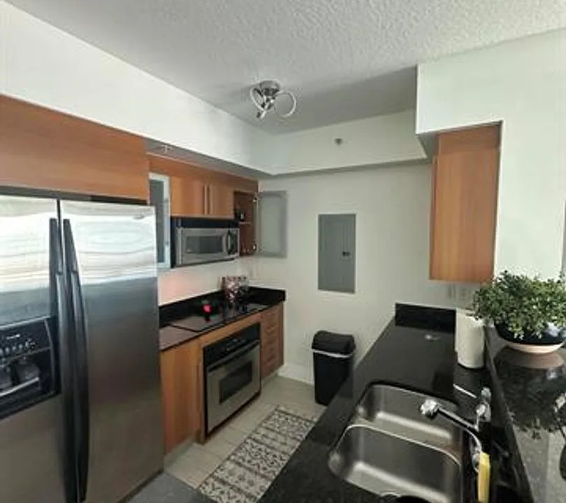 325 S Biscayne Blvd #CU-2617