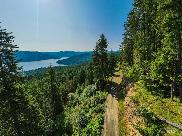 0 Freeman Creek Rd, Lenore, ID 83541