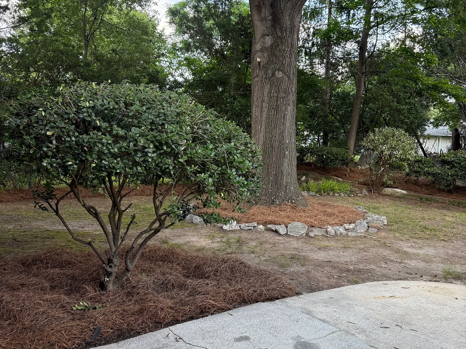 3 bed, 1700 sqft, $1,895 — Photo 4