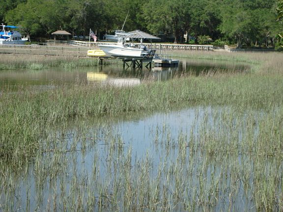 Docks on other side of the tidal creek
