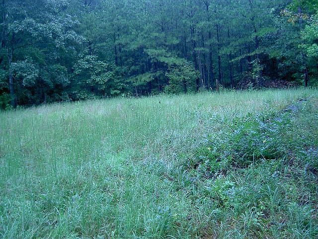 1st image of 121 Ginny Ln