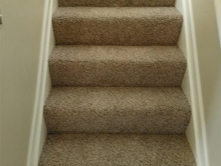 44575 Savery Dr — Photo 21