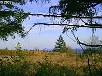 33881 SW Ladd Hill Rd photo 1