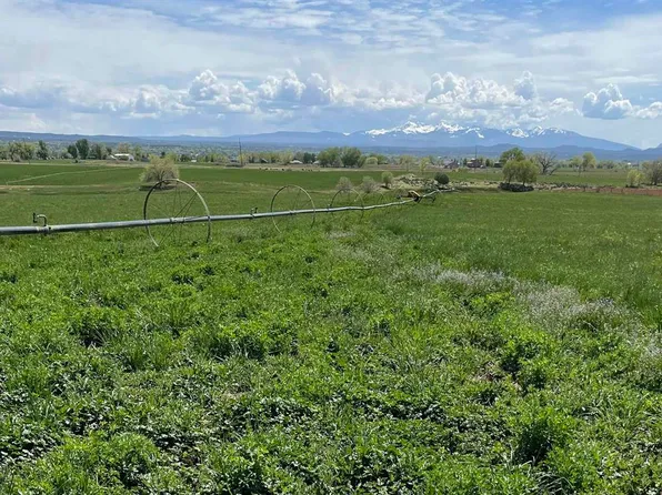 TBD Highway 491, Cortez, CO 81321
