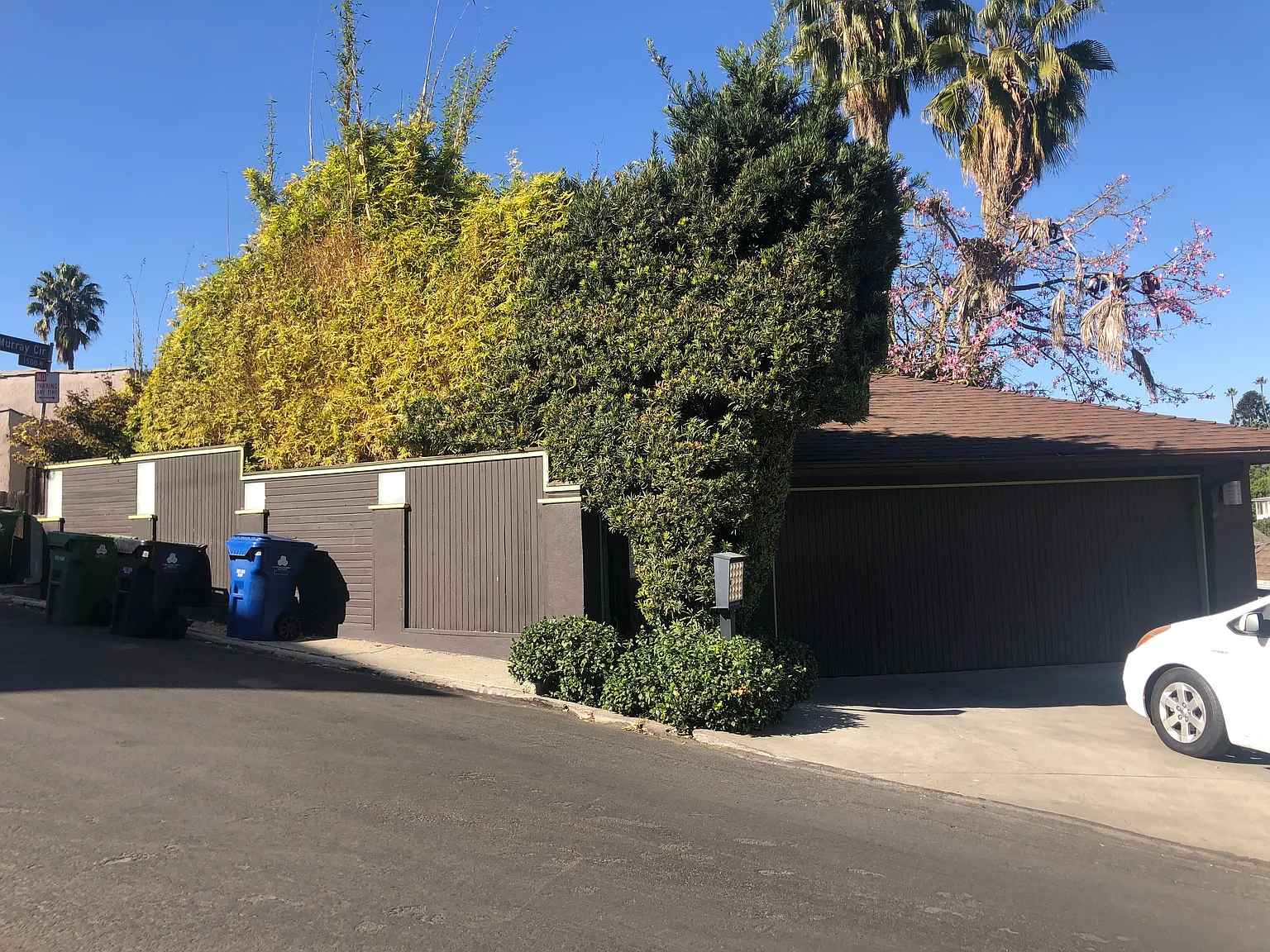 3 bed, 1337 sqft, $7,150 — Photo 1