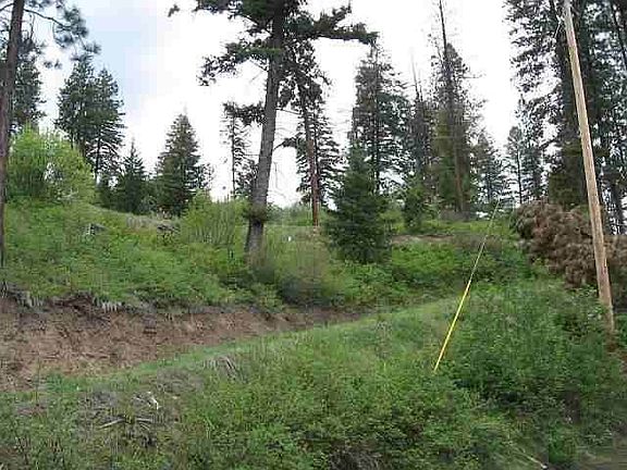 3rd image of 6 Ponderosa Cir