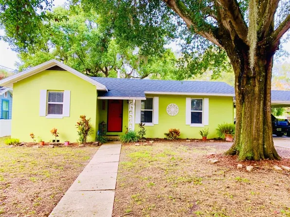 314 S Rhodes St, Mount Dora, FL 32757