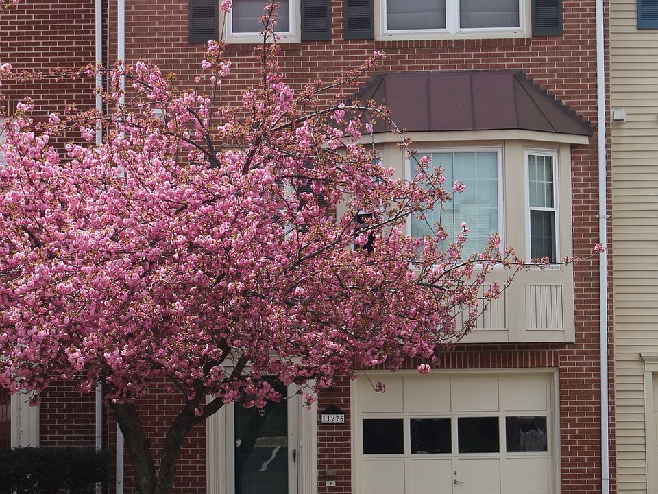 Brick Front Townhouse 