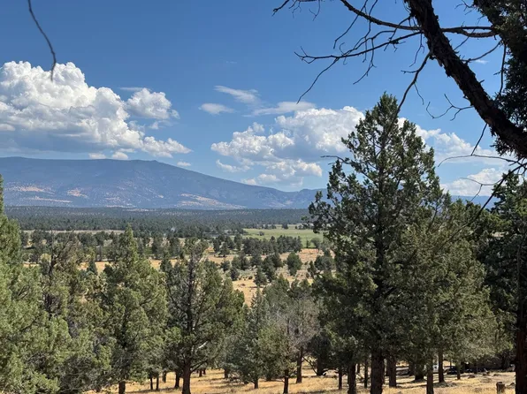 1 Palomino Rd Lot 32, Weed, CA 96094