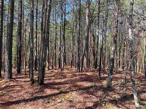 2nd image of 87 Woodland Springs Dr