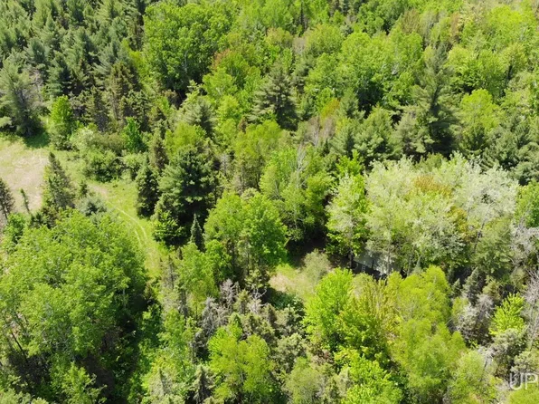 1 Larson Rd, Bruce Crossing, MI 49912