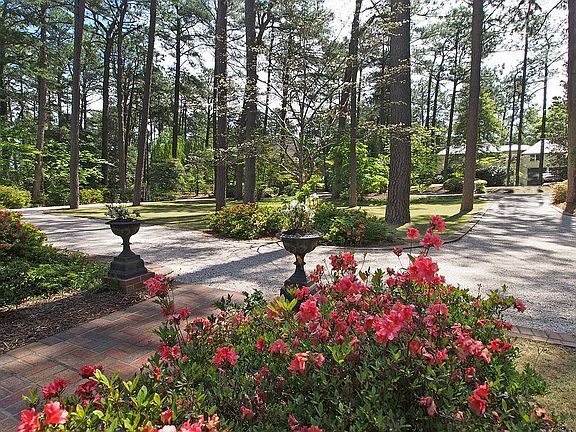 View from Front Door