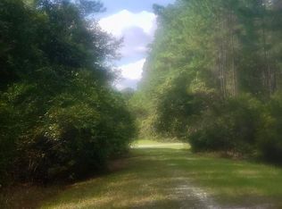209 SE 4th St, Georgetown, FL 32139