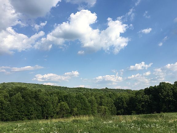 2nd image of 5823 South Livonia Road