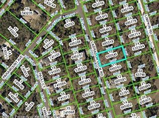 11366 Labrador Duck Rd, Weeki Wachee, FL 34614