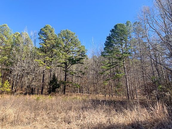 5th image of 1578 County Road 230