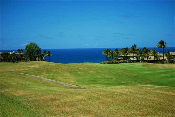 1st image of 4111 Aloalii Dr