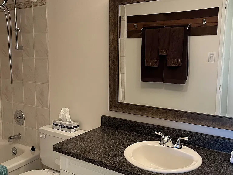 1081 Ambleside Dr #1705 — Photo 9