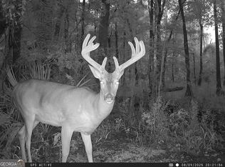0 Charles St, Vienna, GA 31092
