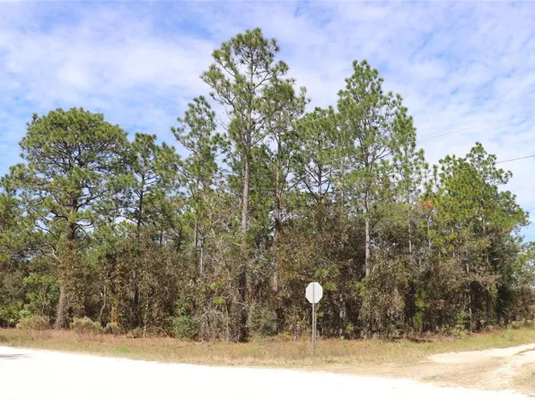 SW 81st St Lot 4, Dunnellon, FL 34432