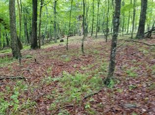 2 Cabin Run Rd, Bloomery, WV 26817