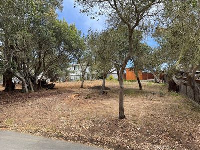 0 Langton St Lot 24, Cambria, CA, 93428