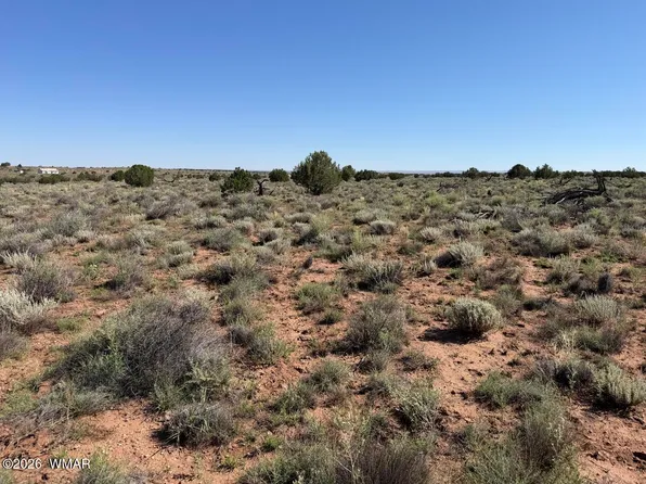 5335 White Antelope Rd, Snowflake, AZ 85937