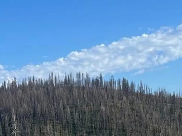 Grizzly Flat Rd, Grizzly Flats, CA 95636