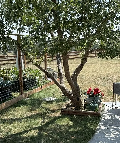 11776 Deer Ln — Photo 19