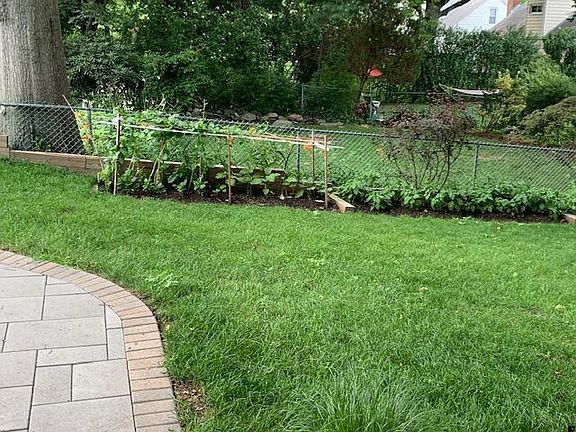 Greenspace in backyard. Vegetable beds for planting.