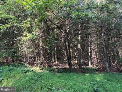 LOT Schencks Grove Rd, Howard, PA, 16841