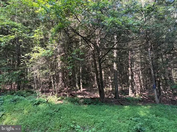 LOT Schencks Grove Rd, Howard, PA 16841