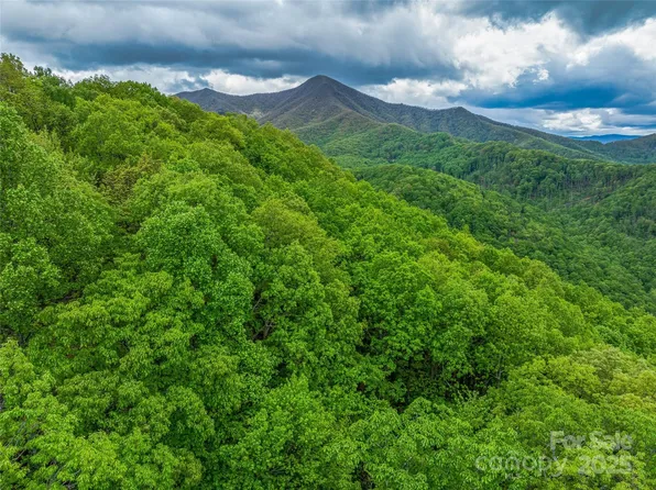 59 Pisgah Mountain Trl, Candler, NC 28715