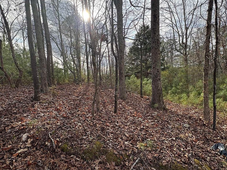 2nd image of 222 Oak Hill Cir #0