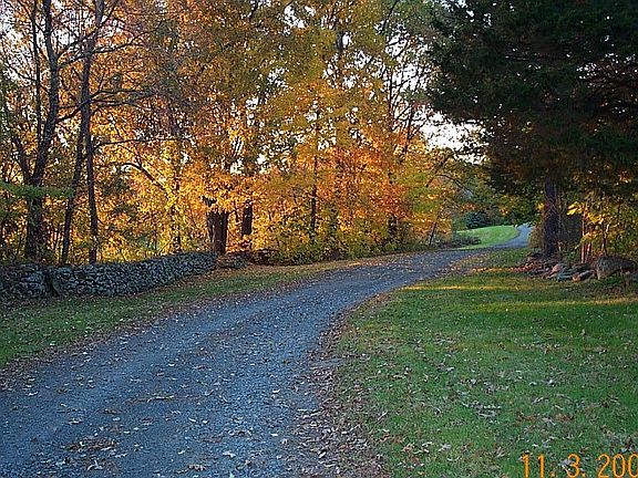 Driveway looking west