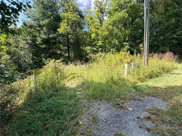 101 Pleasant Home, Sparta, NC 28675